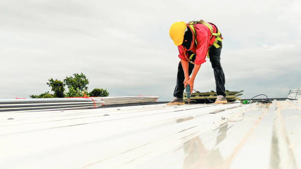 Best Steel Roofing  in Cambridge, NE